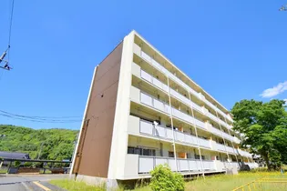 広島県三次市吉舎町吉舎【マンション】の外観