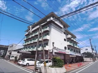 ランスロット桃山の画像