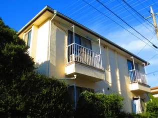 プレイシオンの画像