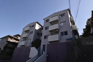 スカイハイツ玉手【1階】の外観