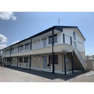 SUNFLOWER正木Ⅱの画像