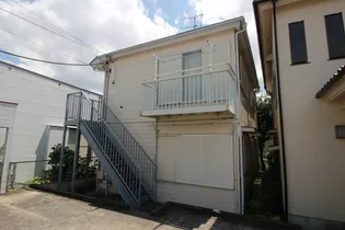 ハウスカトレアの画像