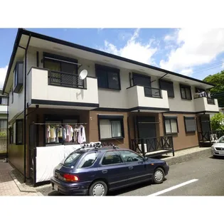 グレースIVの画像