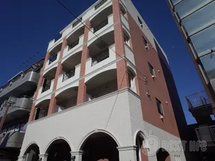 レーヴエスチュエールVIIの画像