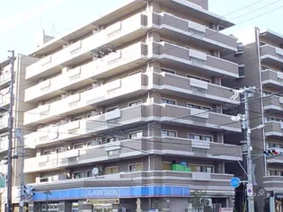 大阪府大阪市平野区背戸口1【マンション】の外観