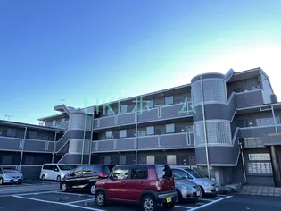 グレイスさつきの画像