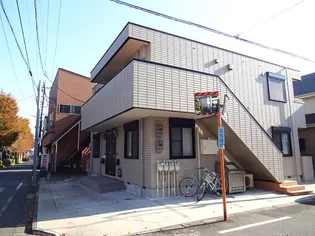 プルメリアの画像