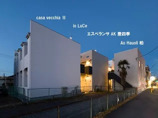 Ao Hauoli 柏(アオハウオリカシワ)【1階】の外観