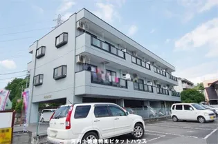 PEMBRIGEの画像