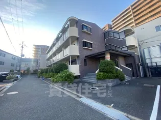 シャンポールかささぎの画像