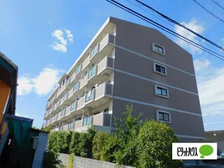 CHRISTINE FROMAGEの画像