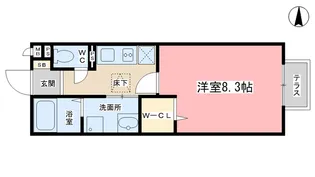 メゾン・シェルシェ【1階】の間取り
