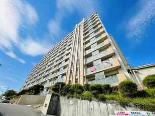 上高丸北住宅【9階】の外観