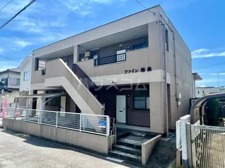 ファイン梅森の画像