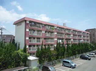 藤絹600【4階】の外観