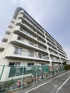 ルモン舞子の画像