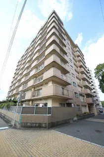 中原スカイマンション【9階】の外観