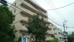 サリータ ソプラの画像