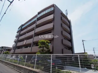 ルネ グランシャリオの画像