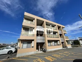 MAUVE LUMIEREの画像