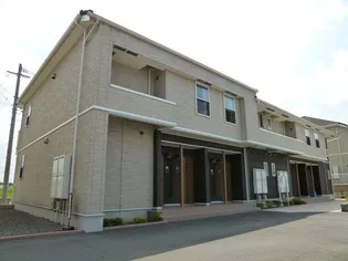 プリマヴェーラ葵Tの画像