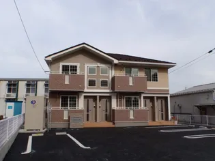 プラシード Sの画像