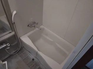 パークコート老松(1LDK)【2階】の風呂