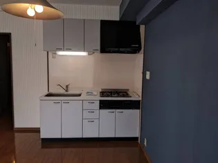 パークコート老松(1LDK)【2階】のキッチン