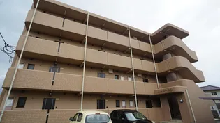 ユーミー奥田の画像