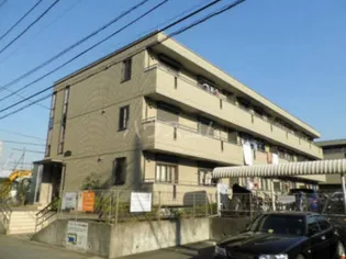 メゾン アムール 壱番館の画像