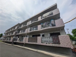 静岡県浜松市中央区早出町【マンション】の外観