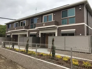 サンフィットの画像