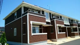 CALME FRANCIの画像