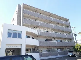 プリムーラ Sの画像