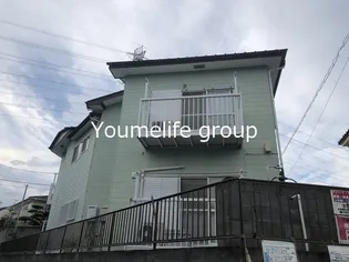 カモミールの画像