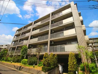 エーコー カミキIIの画像