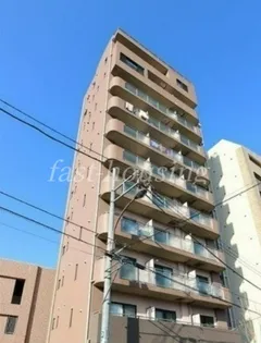 ティアラAの画像