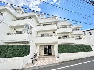 ステラハイム富ヶ谷【4階】の外観