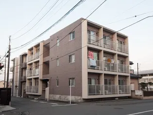 セラドン グレイの画像