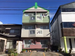 カーサケヤキの画像