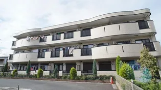 エレガンツァBの画像