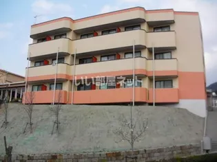 広島県広島市安佐南区大塚東2【マンション】の外観