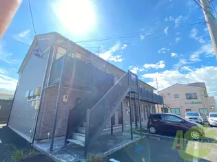 アムールカレクス ドゥトフの画像