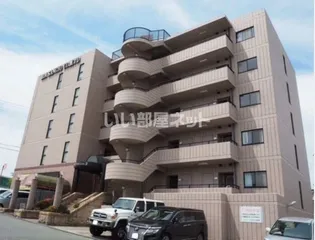 セントポーリアIIの画像