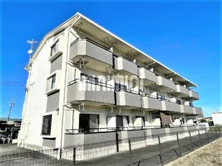 マンションLIVE【2階】の外観