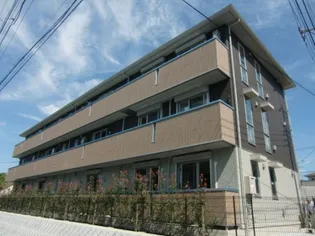 レグルスの画像