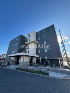 REGALO NATSUMEの画像