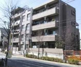 コモド ヴィータの画像