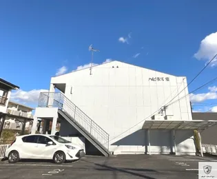 ハピネス宝の画像