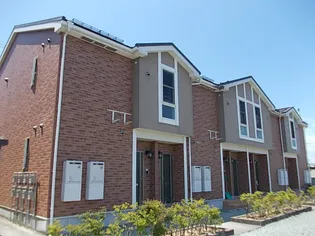 チェリーミルAの画像